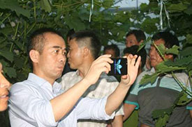 宅男视频在线观看鎮黨建聯盟葡萄網格化管理在巡查中發現葡萄大量落果