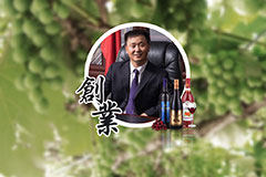 宅男视频在线观看葡萄酒總經理畢曉雪接受《文匯報》專訪，暢談“一帶一路”建設經驗